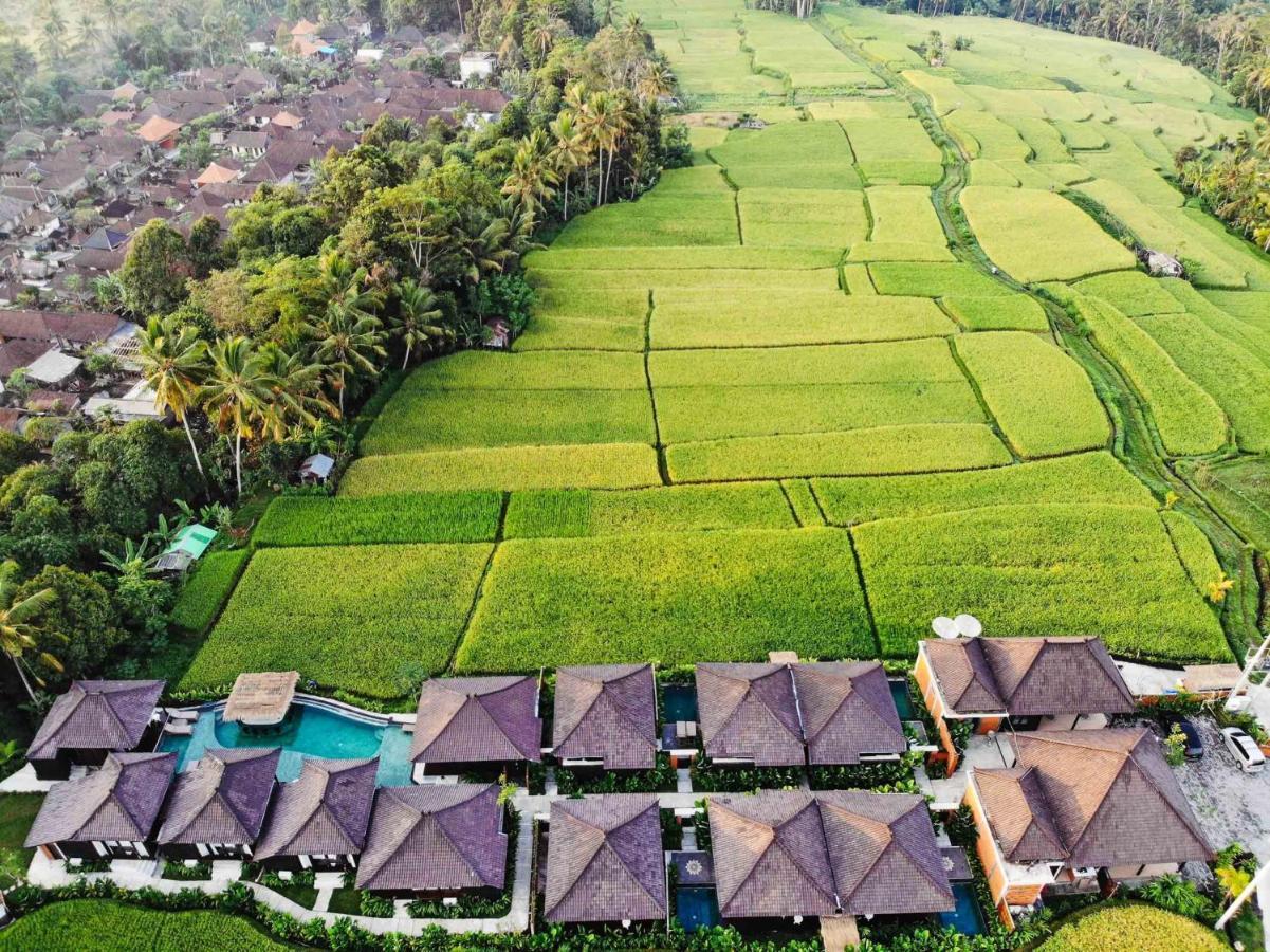 Kayangan Villa Ubud Tegallalang  Εξωτερικό φωτογραφία