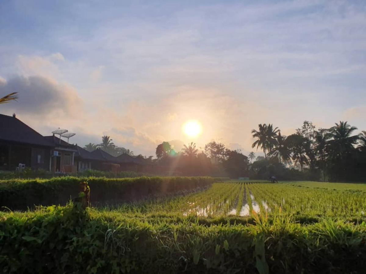 Kayangan Villa Ubud Tegallalang  Εξωτερικό φωτογραφία